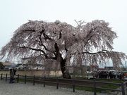 cielさんの法亀寺の投稿写真1