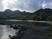 トン太さんの扇浦の投稿写真1