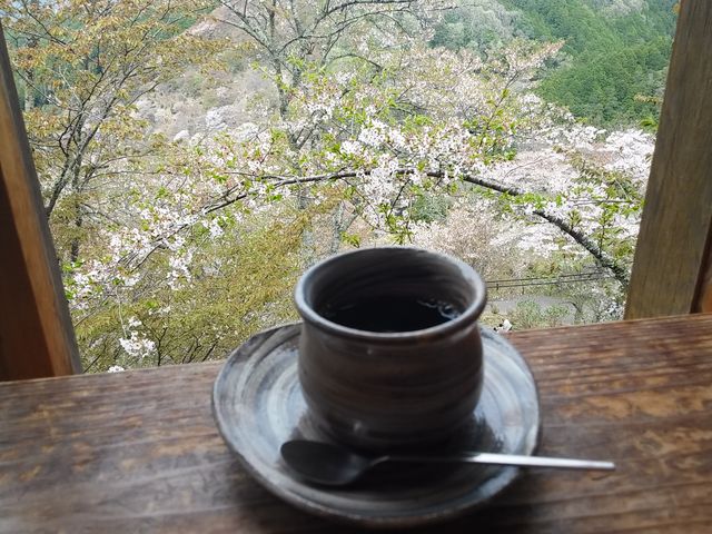 窓際の席_ログハウス茶房 陽ぼっこ