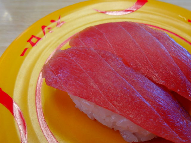 まぐろ_スシロー野々市店