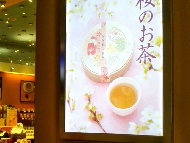 桜のお茶_ルピシア ららぽーと豊洲