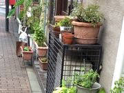 ややさんの東急世田谷線 山下駅の投稿写真1