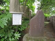 キヨさんの掬翠園の投稿写真2