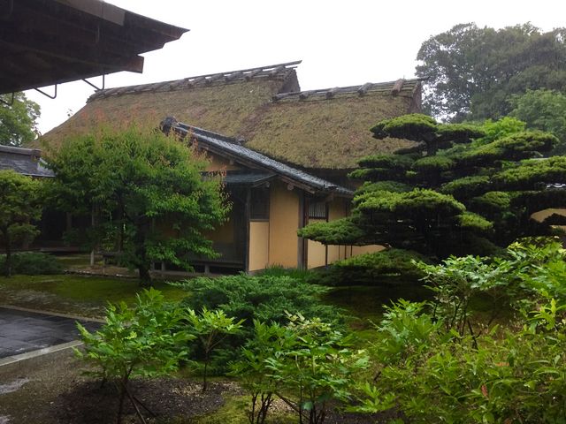 慈光院_慈光院