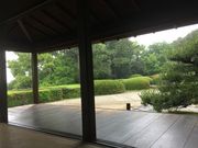 みかんさんの慈光院庭園の投稿写真1