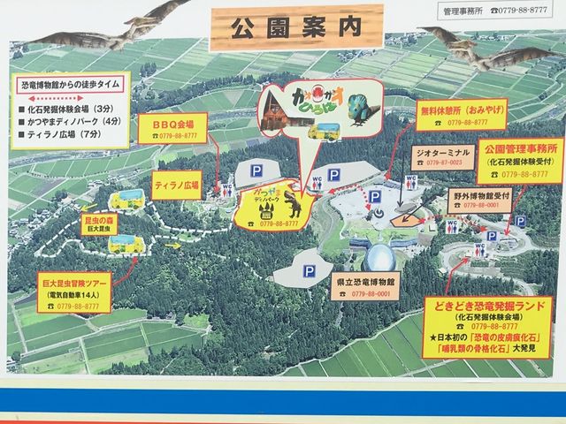 かつやまの森公園案内_かつやま恐竜の森