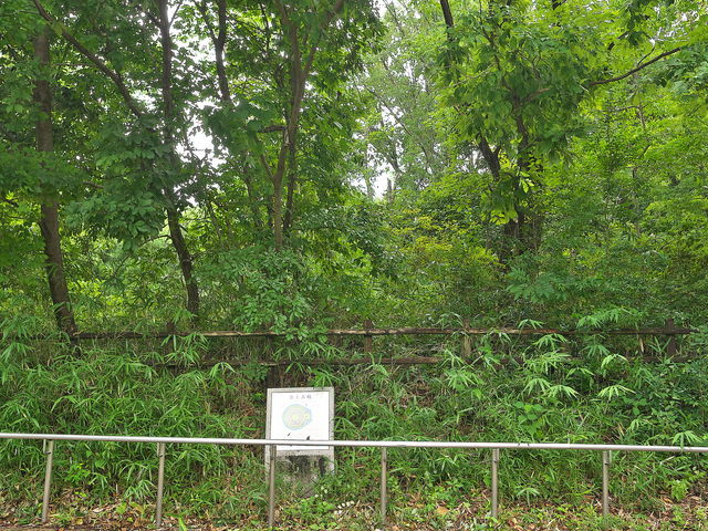 sklfhさんの池上古墳の投稿写真1