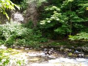 マスタングさんの中野神社の投稿写真1