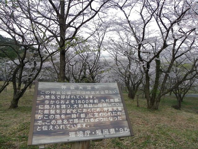 JOEさんの仲哀公園の投稿写真1