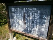 JOEさんの大川公園の投稿写真1