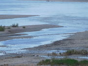 纏さんの天竜川渡船場跡の碑の投稿写真1