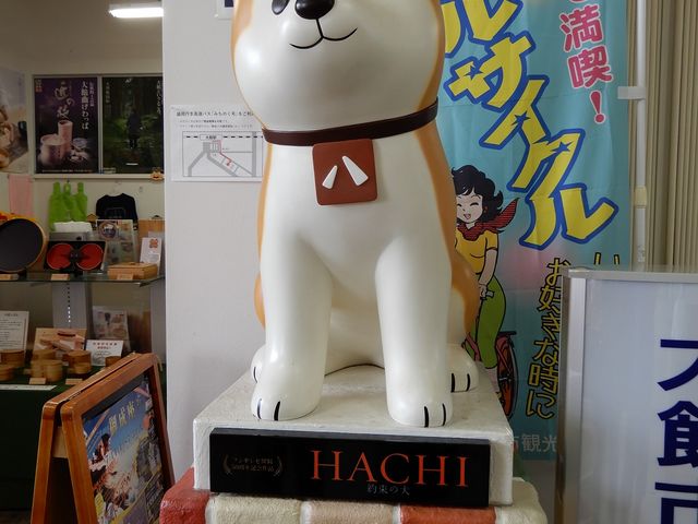 ハチ公?HACHI?_大館市観光案内所・物産コーナー