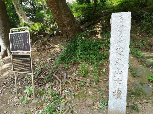 こんな場所にあり驚きです_芝丸山古墳