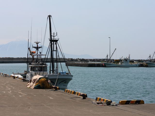 抜海港_抜海港