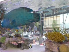 よねずさんのGinza Sony Parkへの投稿写真1