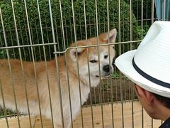 千秋公園の写真1