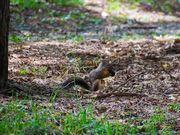 ナンコツ226さんの茅野市運動公園の投稿写真1