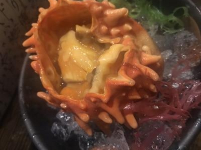ほやの刺身_肴町 ら・ぷらざ亭