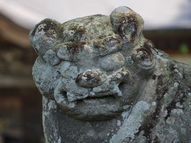 寺なのに狛犬がいました。_光丸山法輪寺