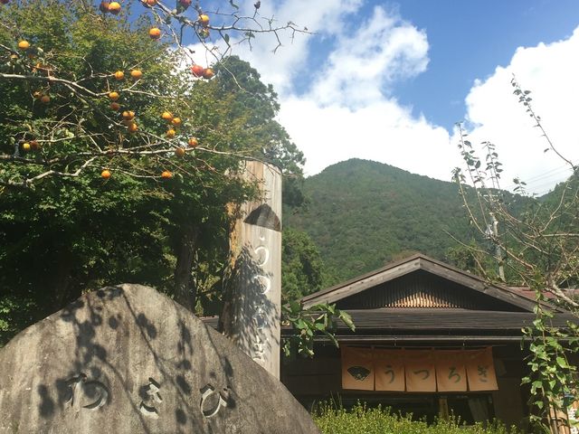 のどか〜な山奥にある食事処。_うつろぎ
