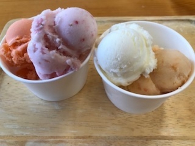 アイスです。イチゴ、ミルク、人参、トマト、キャラメルチョコ、玄米_阿蘇天然アイス研究会