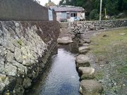 諸星あたるさんのぶつぶつ川の投稿写真1