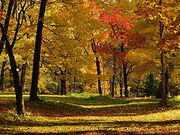 hirariさんの北海道大学植物園の投稿写真1