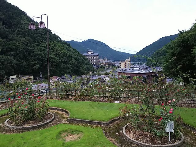 温泉街を一望できます_あつみ温泉ばら園