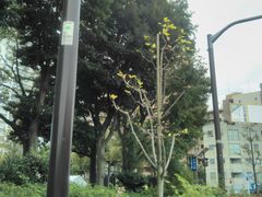 Happyさんの木場公園への投稿写真1