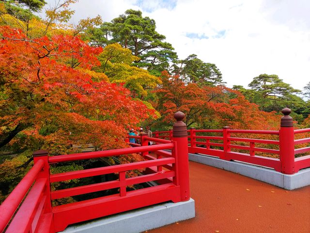 紅葉祭の前日に行きましたが、紅葉の始まりでしたが空いていてユックリ回れました。_弥彦公園
