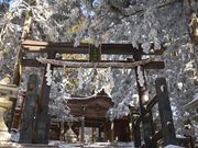 hirariさんの愛宕神社の投稿写真1