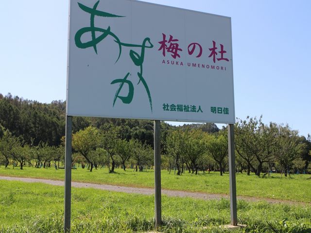 案内標示_三笠あすか梅の杜