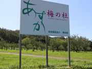 たかちゃんさんの三笠あすか梅の杜の投稿写真1
