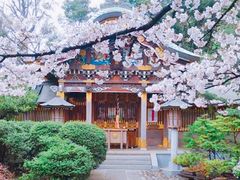 きみさんの武蔵野稲荷神社への投稿写真1
