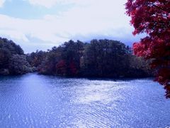 hekokimanさんの五色沼自然探勝路への投稿写真1