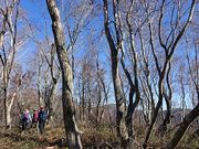 岳さんの金糞岳の投稿写真4