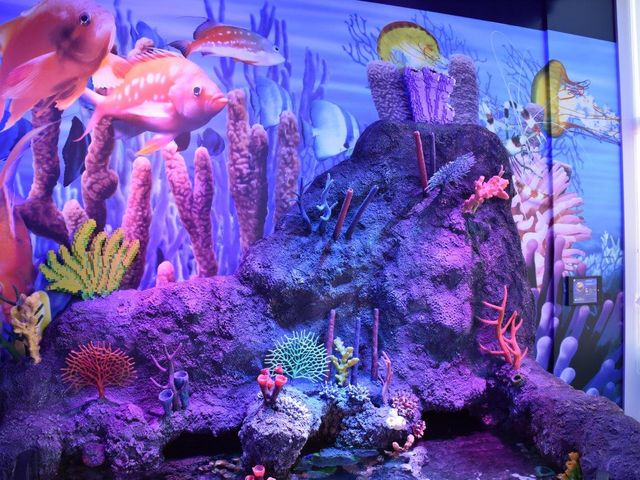 LEGOLAND SEA LIFE_SEA LIFE Nagoya