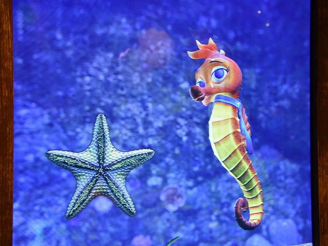 LEGOLAND SEA LIFE_SEA LIFE Nagoya