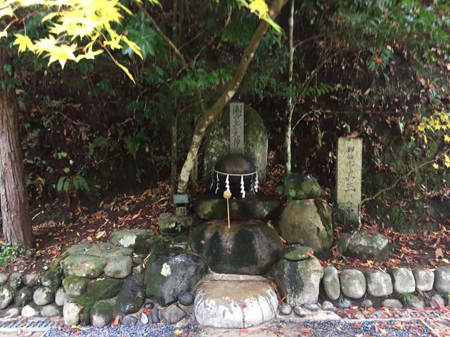 念願の願い石です。早い目の時間に行くと良いですよ。
ゆっくり参拝出来ます。_玉作湯神社
