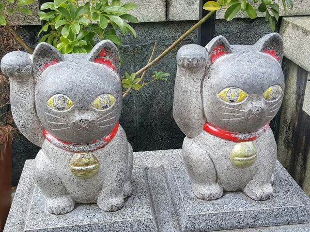 まねきねこ_今戸神社