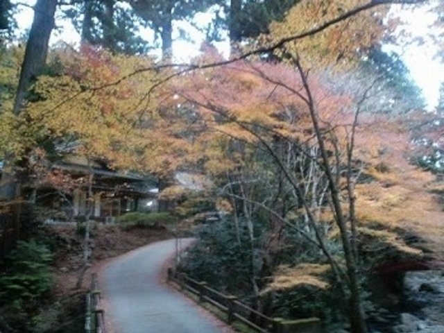 花園神社(茨城県北茨城市)
