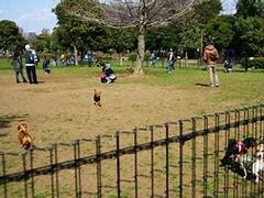 masさんの木場公園への投稿写真1