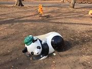 masさんの都立林試の森公園の投稿写真1