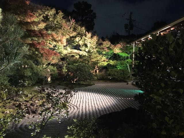 庭園_圓徳院