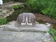 キヨさんのひるがの分水嶺の投稿写真2