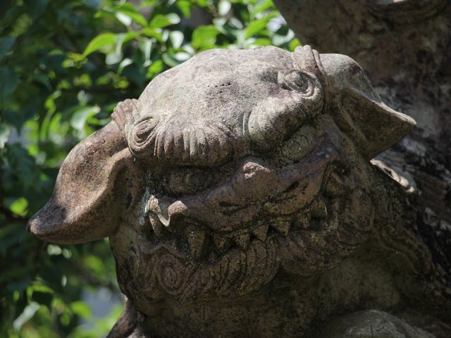 いかつい顔の狛犬。_高城神社
