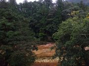 ponちゃんさんの鳳来峡の投稿写真1