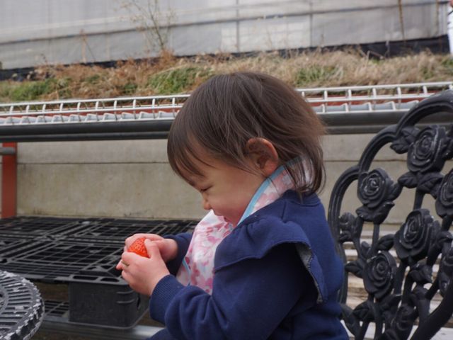 大満足☆_二宮いちご園