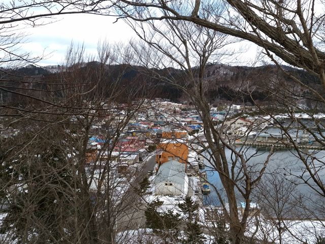中央左に民宿 栄屋(愛宕山から撮影)_民宿 栄屋