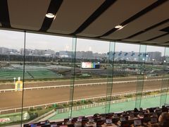 さわさんの東京シティ競馬(大井競馬場)への投稿写真1